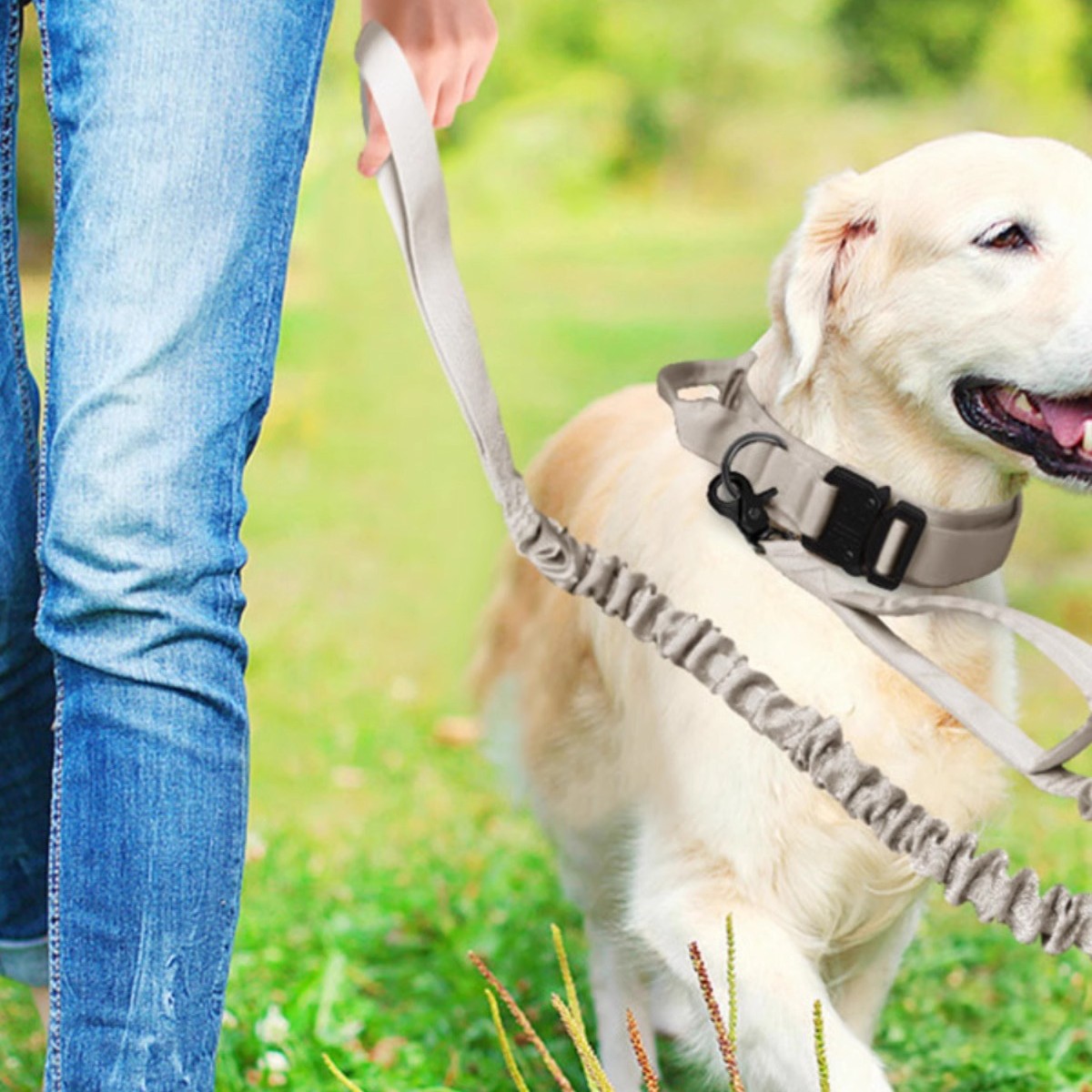 宠物项圈牵引绳尼龙户外爱犬外出遛狗狗牵引绳可调节伸缩大中型