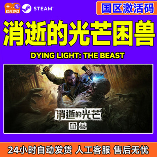 Dying Light 国区激活码 steam游戏 PC正版 光芒困兽 CDKey 消逝