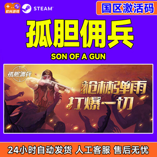 PC正版 孤胆佣兵 游戏 CDKey Son 国区激活码 steam Gun