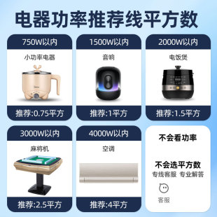 2.5平方三芯带插头单头裸尾电源线 纯铜大功率10A16a国标大功率4