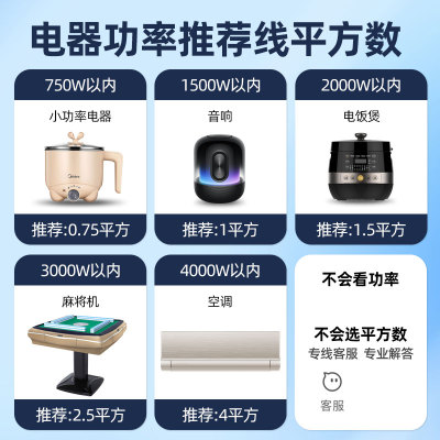 国标大率电源线功铜线2.5/4平方铜芯线10A/16插A头带线电线带插头