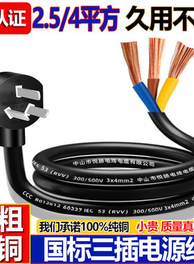 国标纯铜电源线三芯电缆线10A16a大功率1.5/4平方插头带线 三 带