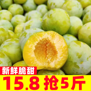 四川正宗脱骨李子脆红李半边红茵红李青红脆李本地李孕妇新鲜水果