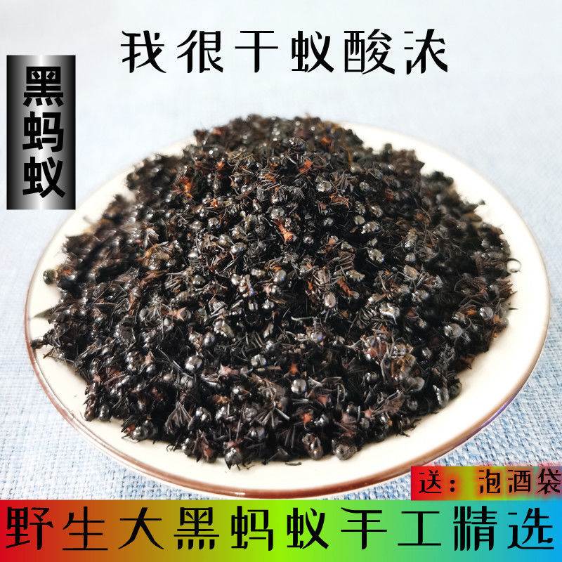 廣西黑螞蟻橫縣野生擬多