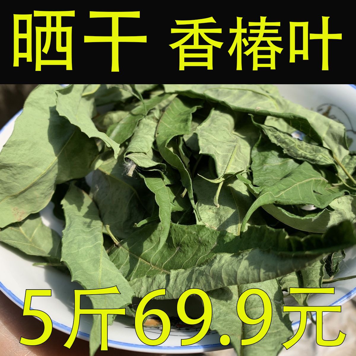 晒干香椿叶香椿叶煮水香椿叶茶香椿叶泡水老香椿叶香椿叶子