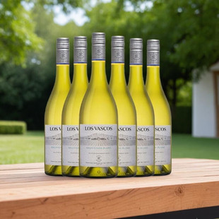 LAFITE拉菲巴斯克长相思干型白葡萄酒750ml六支智利进口聚餐好酒