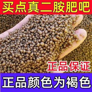 磷酸二胺化肥高含量高浓度复合肥料蔬菜花卉果树通用型二铵肥料