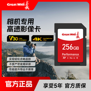 长城sd卡闪存卡128G相机通用SD内存卡佳能富士尼康相机高速存储卡