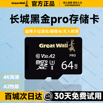 长城高速内存卡128g/256g行车记录仪 tf卡运动相机通用高速储存卡