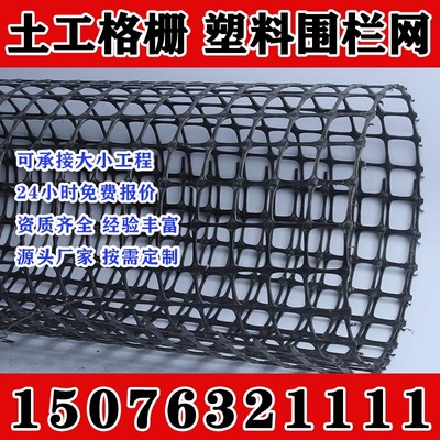塑料网养殖网围栏土工格栅