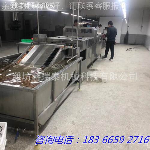 供应双排多功洗蛋能机 定制鸡鸭低蛋OOL快速清洗可机 破损率操作