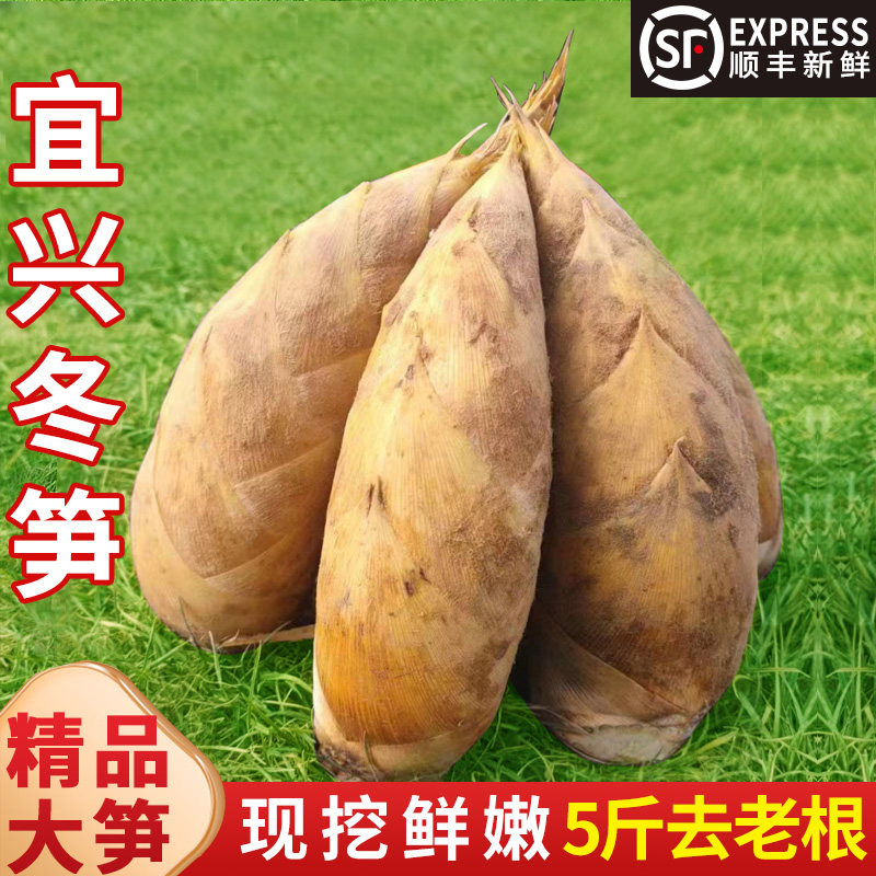 黄泥冬笋新鲜现挖脆嫩毛竹笋野生高山黄泥春笋顺丰包邮