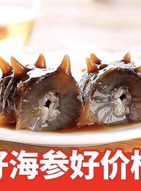 即食辽参长刺大连鲜活野生海参速食孕妇刺参免泡发高品质独立装