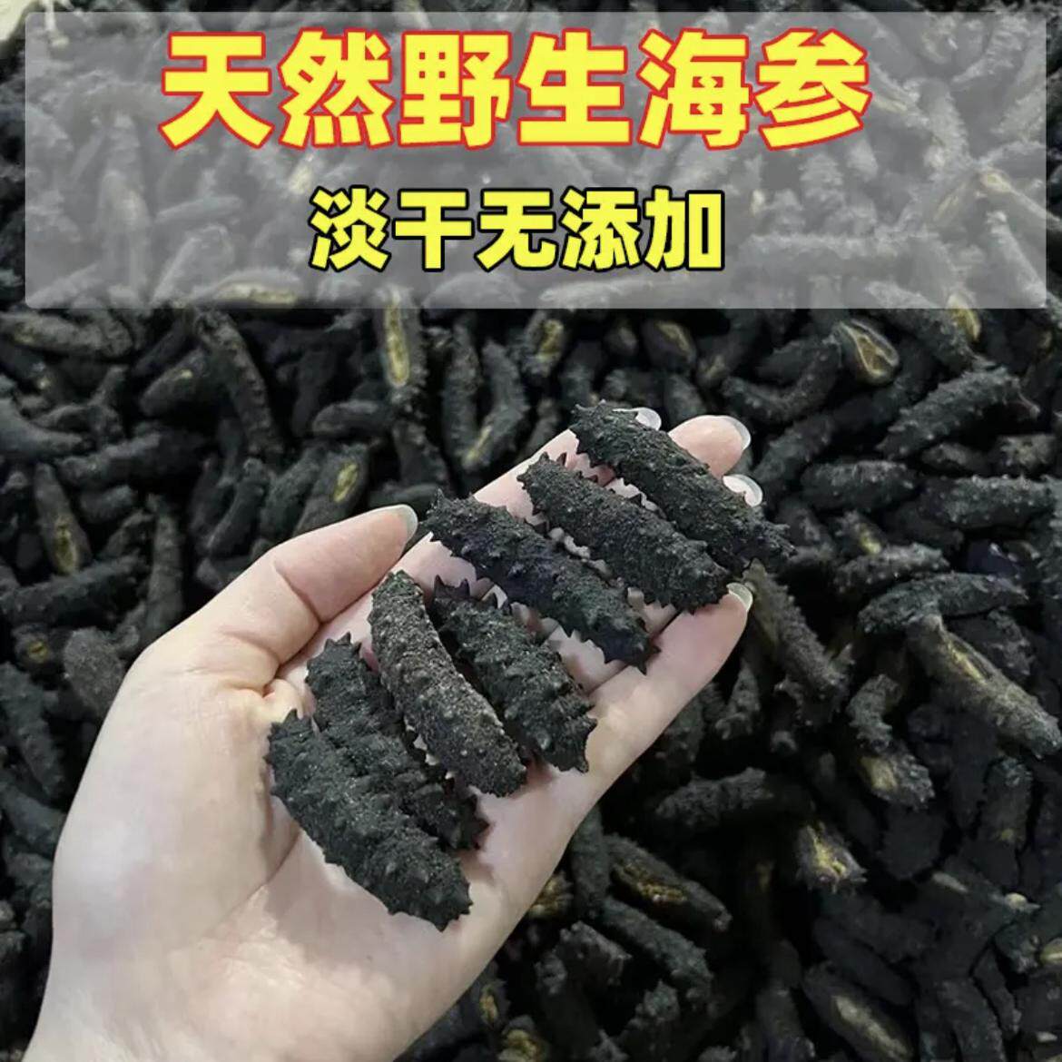 摩洛哥黑刺参深海野生海参干货一海参