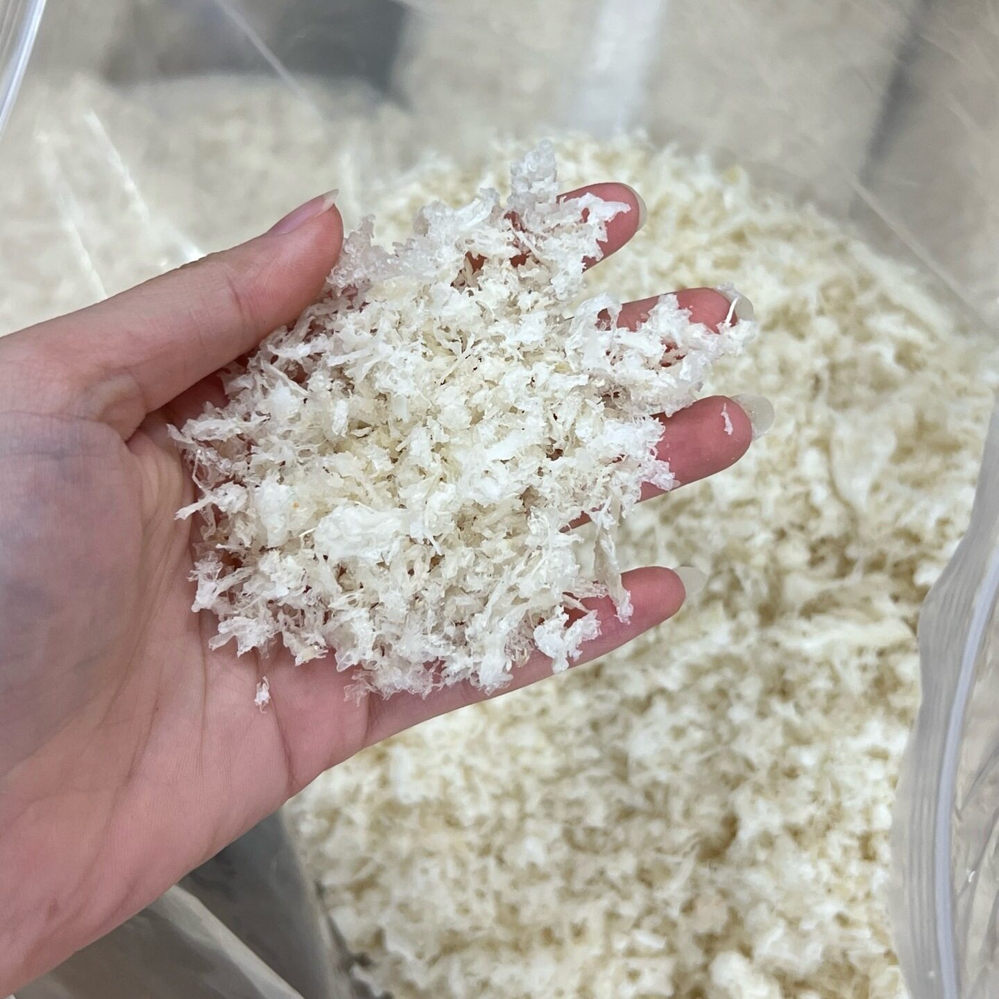 燕窝碎泡孕期孕妇野生干盏燕盏正品即食正宗印尼非进口鲜炖主打款