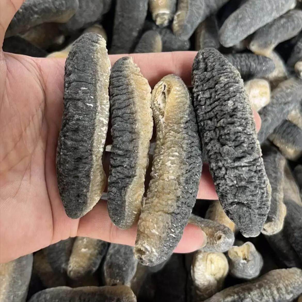 斯里兰卡明秃海参精选货泡发率10倍肉质肥厚Q弹海参干货家宴酒店