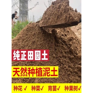 广东田园土种菜种花优质营养土菜园土种植土通用型养花绿植土壤