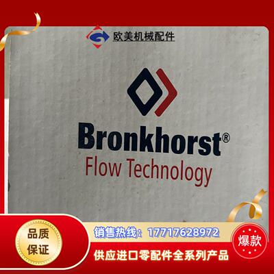 全新原装BronkHorst计RUR-EV-L1议价