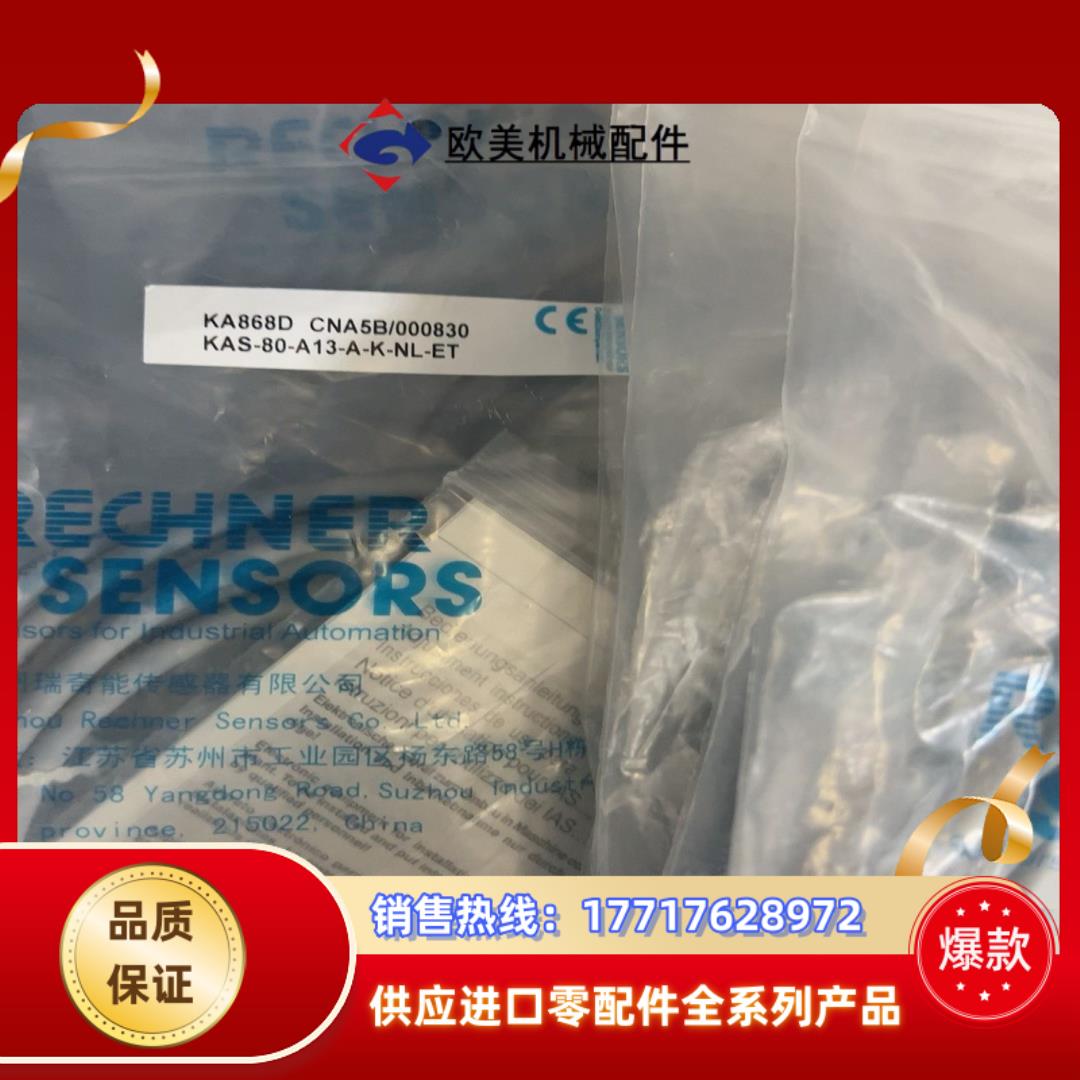 RECHNER瑞奇传感器KAS-80-A13-A-K-NL-议价