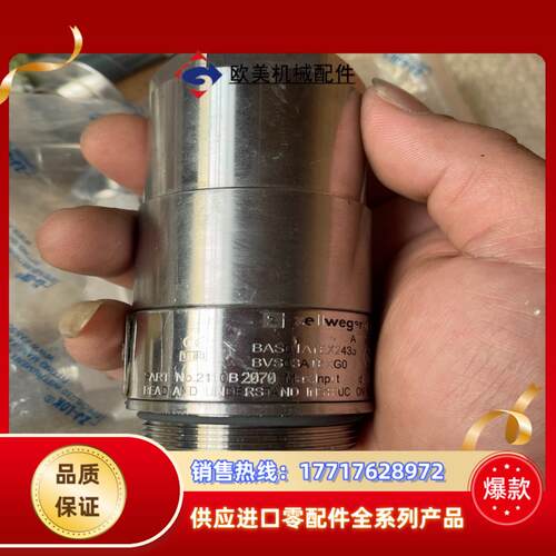Zellweger气体探测器 2110B2079 议价