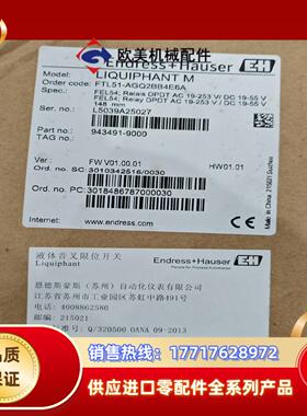 Endress+Hauser 音叉Order codeFT议价