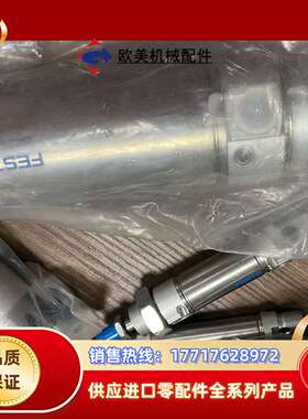 DSNU-63-100-PPV-A 196054气缸D议价