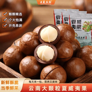 年货伴手礼JH 健康坚果零食 云夏庄园 25年新货夏威夷果