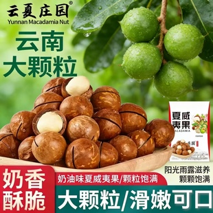 奶香酥脆 厂家补贴 特大果 坏果包赔 健康坚果 25年夏威夷果