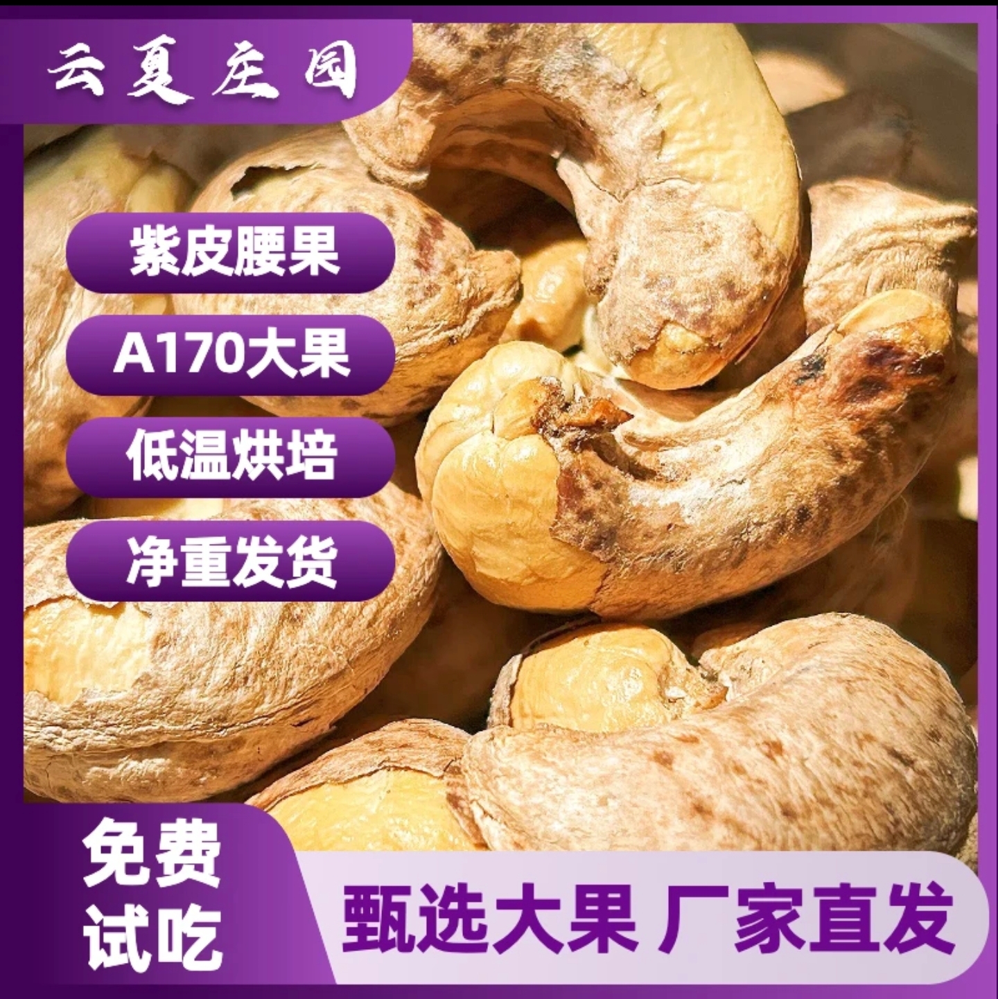 云夏庄园A170越南特大紫皮腰果