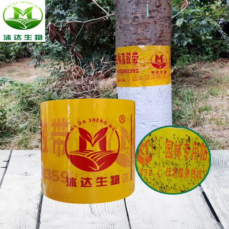 树木防虫胶带诱虫粘虫黏虫带林业专用胶带树木果树园林涂白标高带