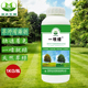 一喷缕草坪增绿剂绿化草皮植物染色剂快着色剂不伤草工程绿化验收