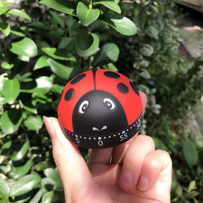 器创意卡通可爱瓢虫时间管理器机械提醒器厨房定时器计时器倒时