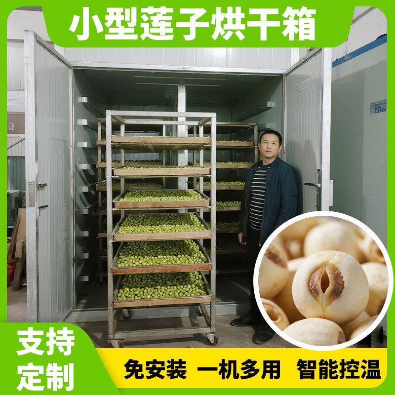 莲子烘干机小型电加热 莲实莲肉烘干箱 莲蓬子除湿烘干设备全自动