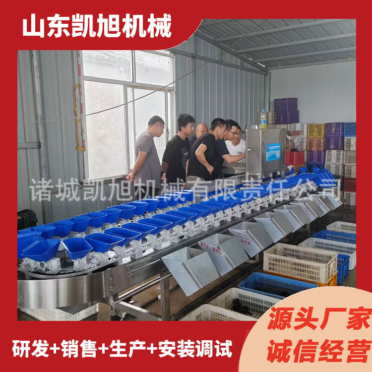 重量选别秤 海鲜冻品重量检测多级分选机 食品药品称重分拣机