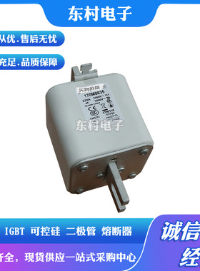 现货170M8614 170M8615 170M8616 170M8617 170M8618全新熔断器