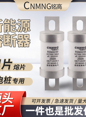 RSM直流熔断器充电桩用DC750V(RS309-MF新能源汽车熔断器250-400A
