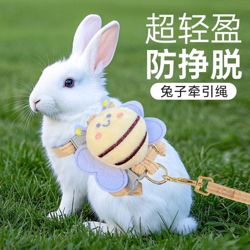 兔绳兔子牵引绳遛兔防挣