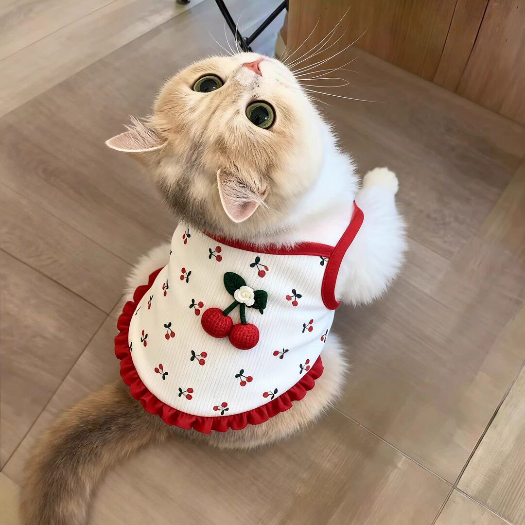 猫咪衣服可爱吊带连衣裙子夏季2026新款公主风薄款防掉毛宠物背心