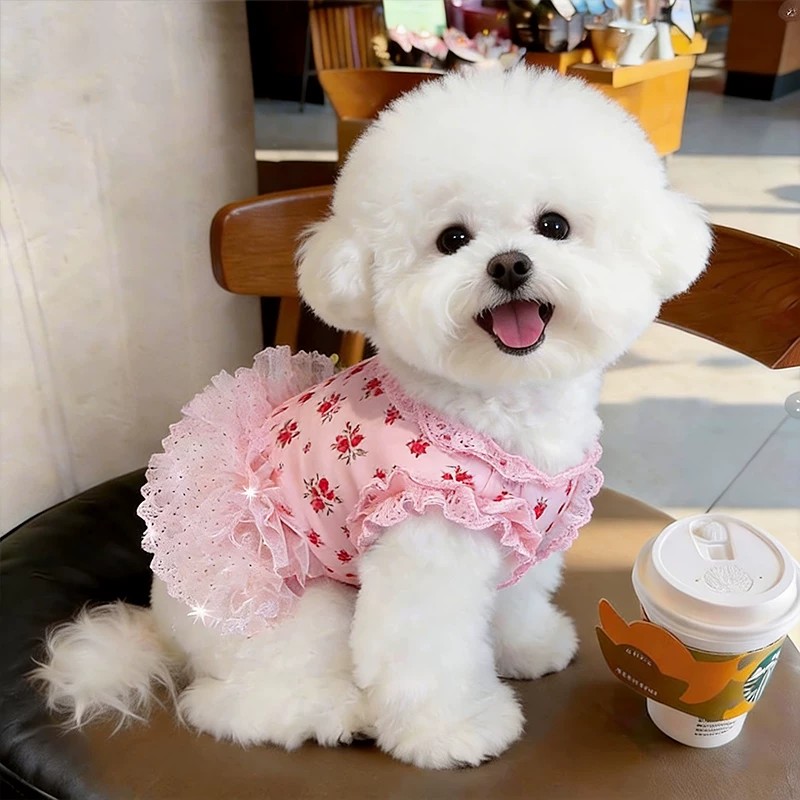 可牵引狗狗衣服公主风碎花蕾丝蓬蓬裙小型犬比熊可爱透气薄款夏季