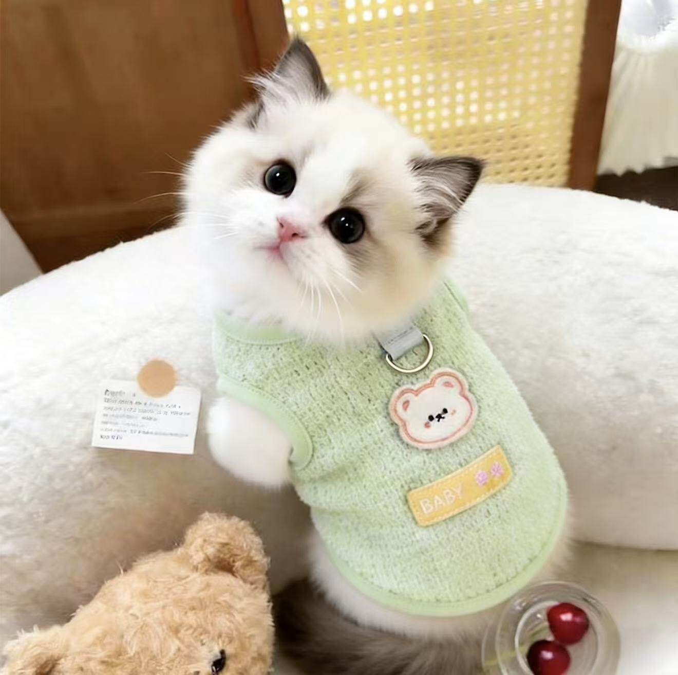 猫咪衣服薄款防掉毛布偶银渐层可爱背心小型幼犬可牵引衣防晒夏季