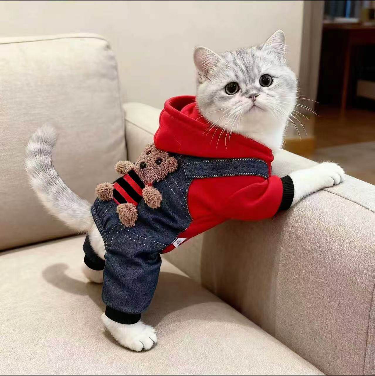 狗狗衣服秋冬装小熊四脚衣泰迪比熊博美加绒小猫咪衣服防寒带帽子