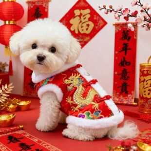 狗狗新年冬装龙袍衣服棉衣加厚加绒比熊泰迪博美小型幼犬宠物猫咪