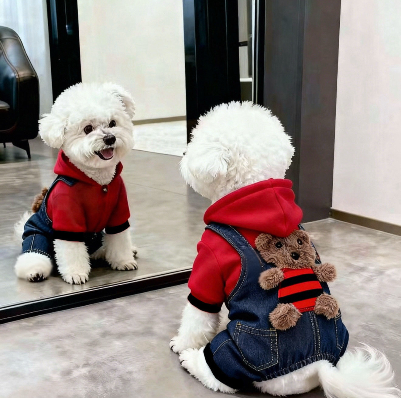 狗狗衣服秋冬装小熊四脚衣泰迪比熊博美加绒小猫咪衣服防寒带帽子