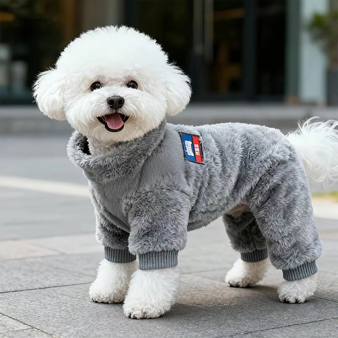 狗狗衣服春秋款小体泰迪比熊博美