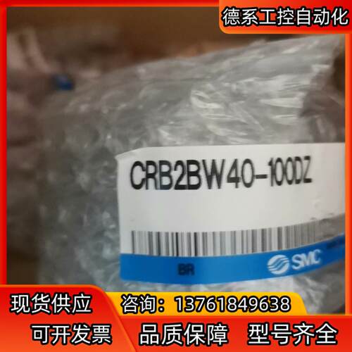 SMC CRB2BW40-100DZ有10个