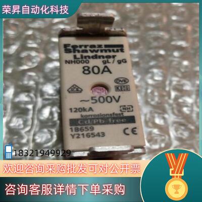现货Ferraz Shawmut Lindner熔断器NH000
