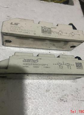 【非标价】X2G75SD12P1/LUH75G1202/LUG100G