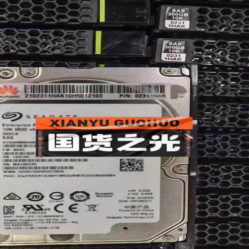 Huawei/华为服务器 2288HV3 HV5 300GB