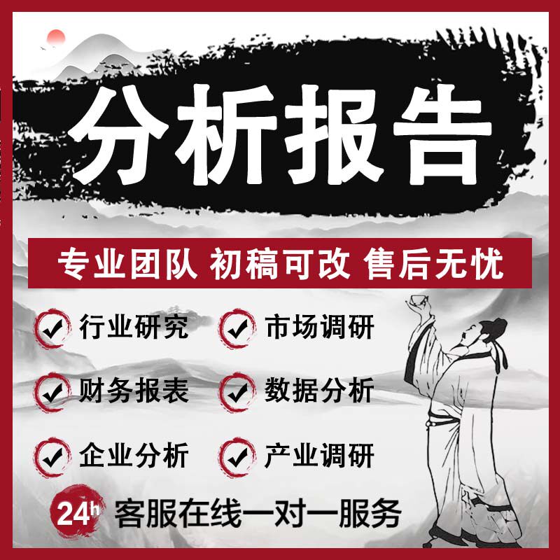 调研报告修改代写行业研究报告商设计素材/源文件