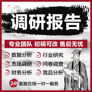 代写调研报告项目行业市场可行性研究方案竞品分析财务表定制咨询